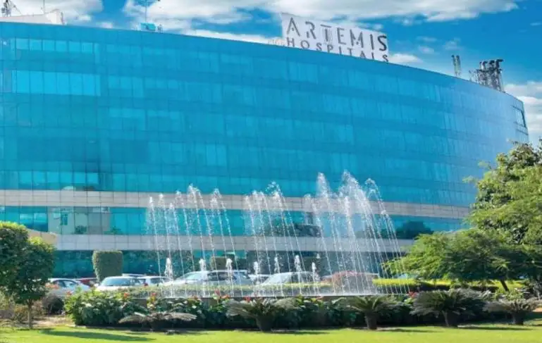 ARTEMIS HOSPITAL